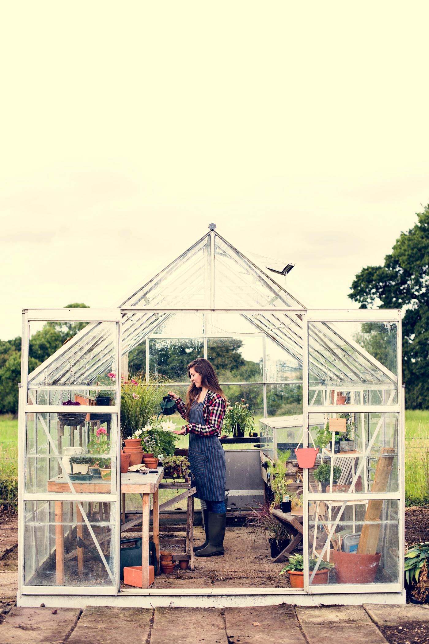 arboretum, backyard, bloom, blooming, botanical, botany, country, countryside, cultivate, cultivating, flora, garden,... arboretum, backyard, bloom, blooming, botanical, botany, country, countryside, cultivate, cultivating, flora, garden,...