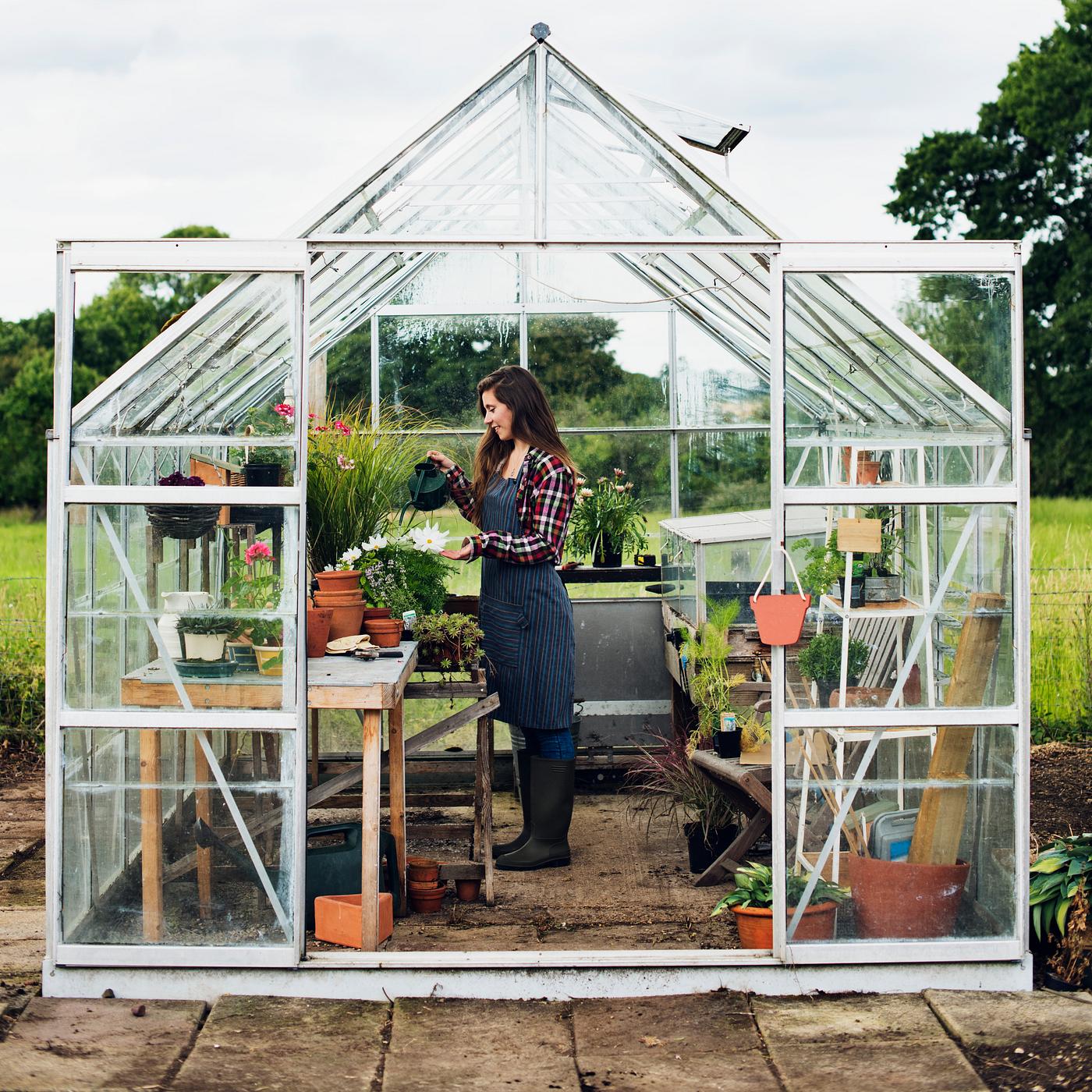 Young woman in the glass greenhouse Young woman in the glass greenhouse