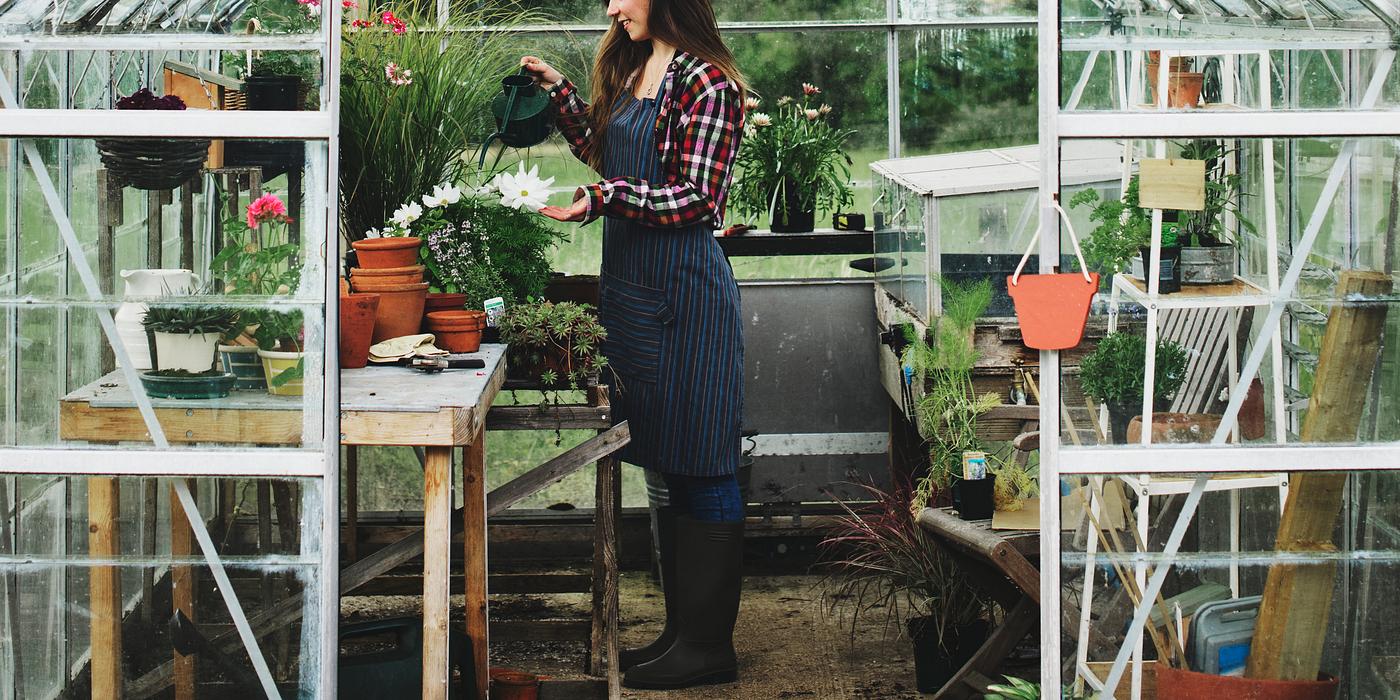 arboretum, backyard, bloom, blooming, botanical, botany, country, countryside, cultivate, cultivating, flora, garden,... arboretum, backyard, bloom, blooming, botanical, botany, country, countryside, cultivate, cultivating, flora, garden,...