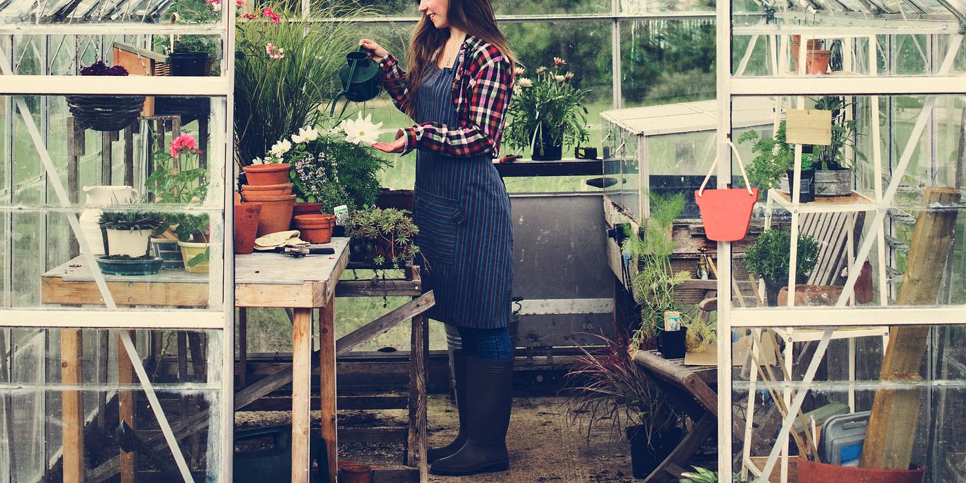 arboretum, backyard, bloom, blooming, botanical, botany, country, countryside, cultivate, cultivating, flora, garden,... arboretum, backyard, bloom, blooming, botanical, botany, country, countryside, cultivate, cultivating, flora, garden,...