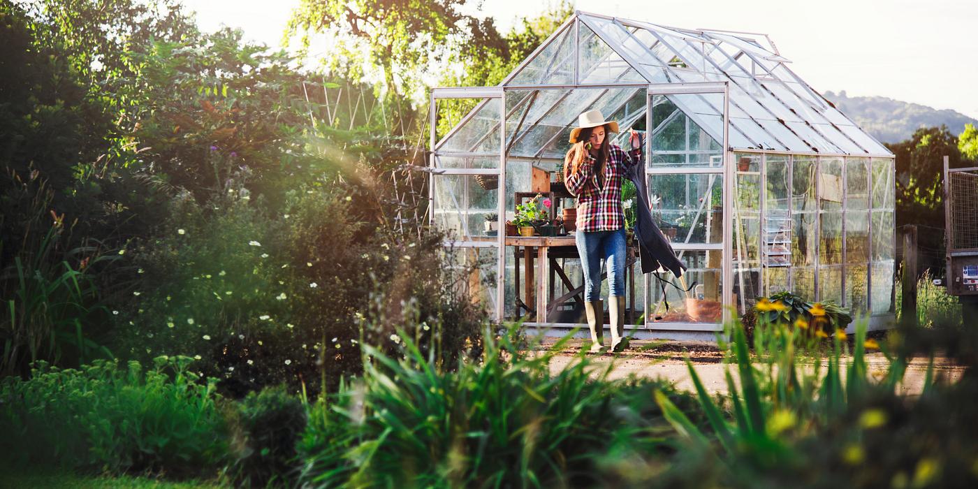 gardening, garden, plant, country, arboretum, backyard, bloom, blooming, botanical, botany, countryside, cultivate,... gardening, garden, plant, country, arboretum, backyard, bloom, blooming, botanical, botany, countryside, cultivate,...