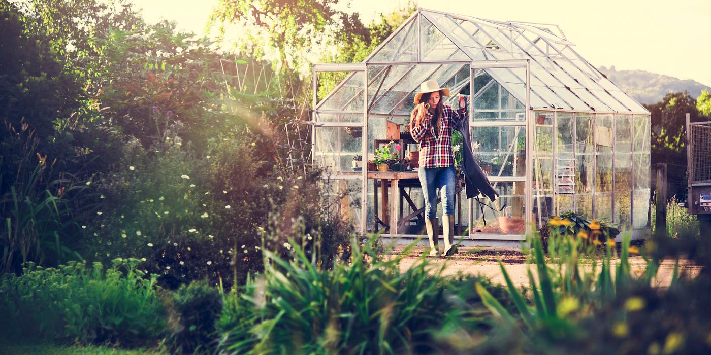 arboretum, backyard, bloom, blooming, botanical, botany, country, countryside, cultivate, cultivating, flora, garden,... arboretum, backyard, bloom, blooming, botanical, botany, country, countryside, cultivate, cultivating, flora, garden,...