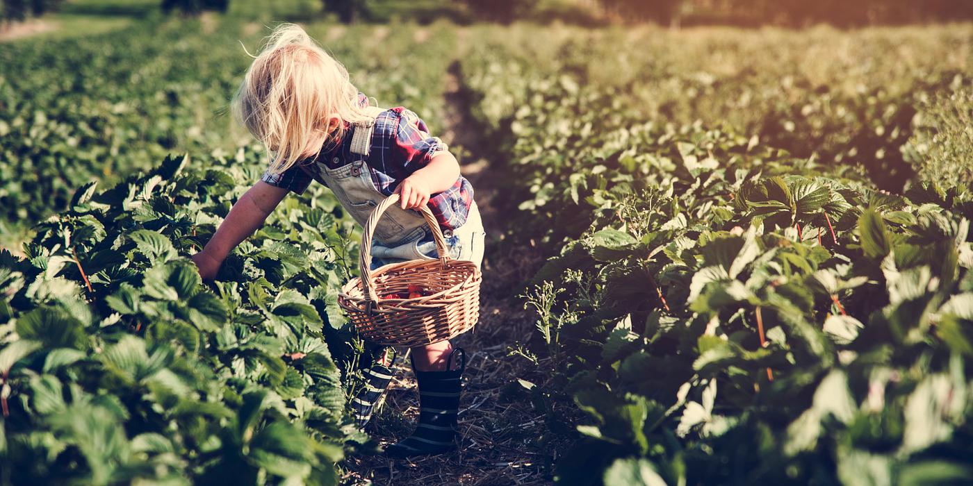 arboretum, backyard, bloom, blooming, botanical, botany, boy, child, country, countryside, cultivate, cultivating, field,... arboretum, backyard, bloom, blooming, botanical, botany, boy, child, country, countryside, cultivate, cultivating, field,...