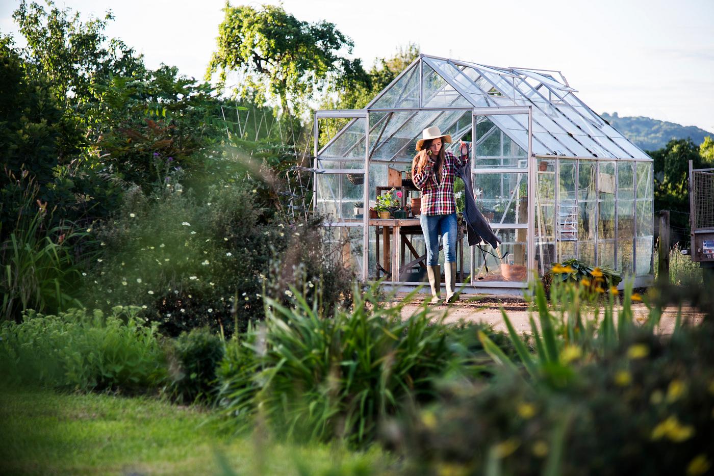 arboretum, backyard, bloom, blooming, botanical, botany, country, countryside, cultivate, cultivating, flora, garden,... arboretum, backyard, bloom, blooming, botanical, botany, country, countryside, cultivate, cultivating, flora, garden,...