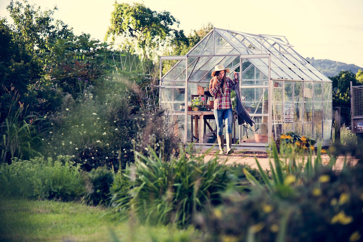 girl, arboretum, backyard, bloom, blooming, botanical, botany, country, countryside, cultivate, cultivating, flora, garden,... girl, arboretum, backyard, bloom, blooming, botanical, botany, country, countryside, cultivate, cultivating, flora, garden,...