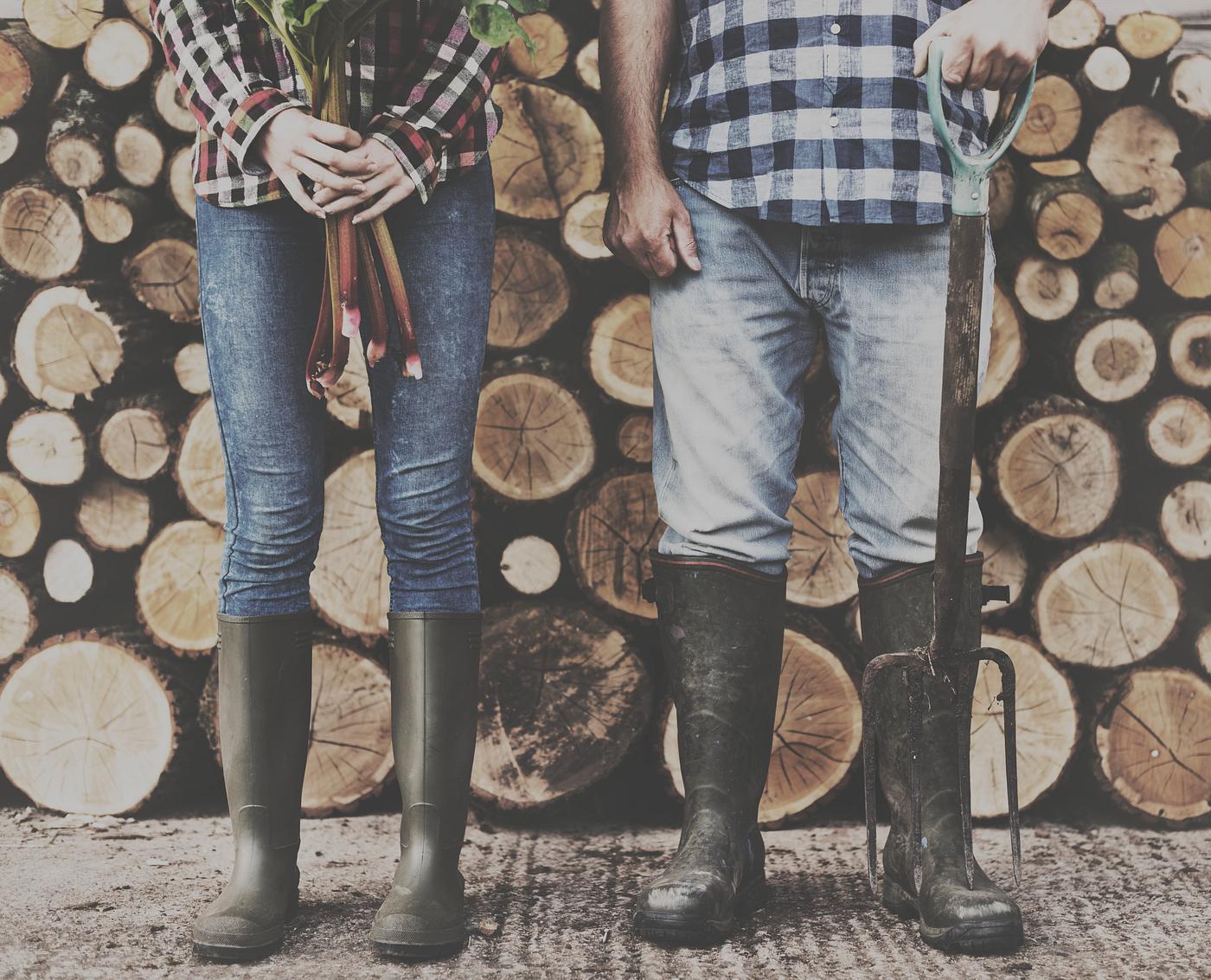 chopped, countryside, couple, cut, farmer, firewood, fuelwood, gardener, heap, log, lumber, lumberyard, nature, pile, piled... chopped, countryside, couple, cut, farmer, firewood, fuelwood, gardener, heap, log, lumber, lumberyard, nature, pile, piled...