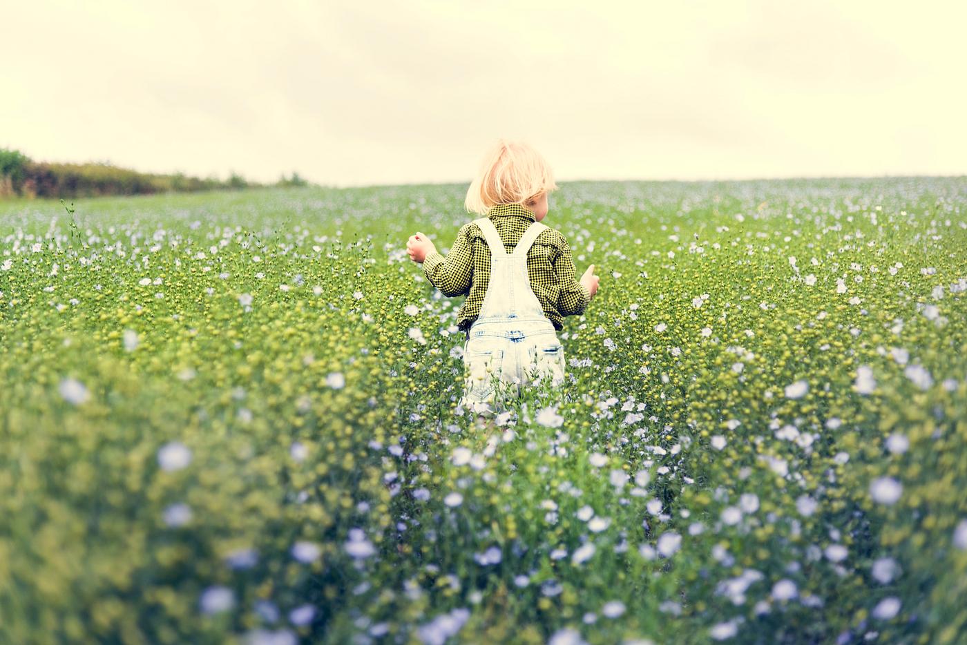 arboretum, backyard, bloom, blooming, botanical, botany, boy, country, countryside, cultivate, cultivating, field, flora,... arboretum, backyard, bloom, blooming, botanical, botany, boy, country, countryside, cultivate, cultivating, field, flora,...