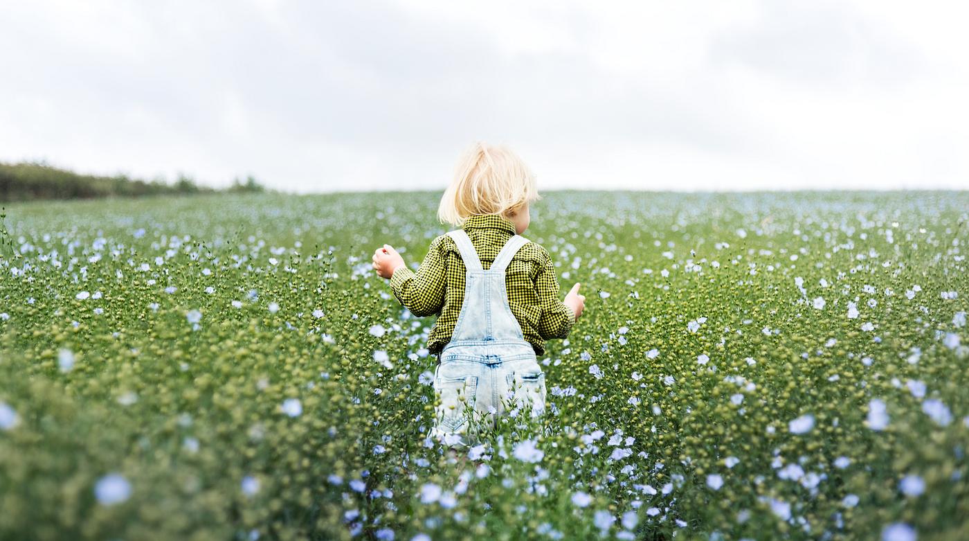 child, arboretum, backyard, bloom, blooming, blue, botanical, botany, boy, children, country, countryside, cultivate,... child, arboretum, backyard, bloom, blooming, blue, botanical, botany, boy, children, country, countryside, cultivate,...