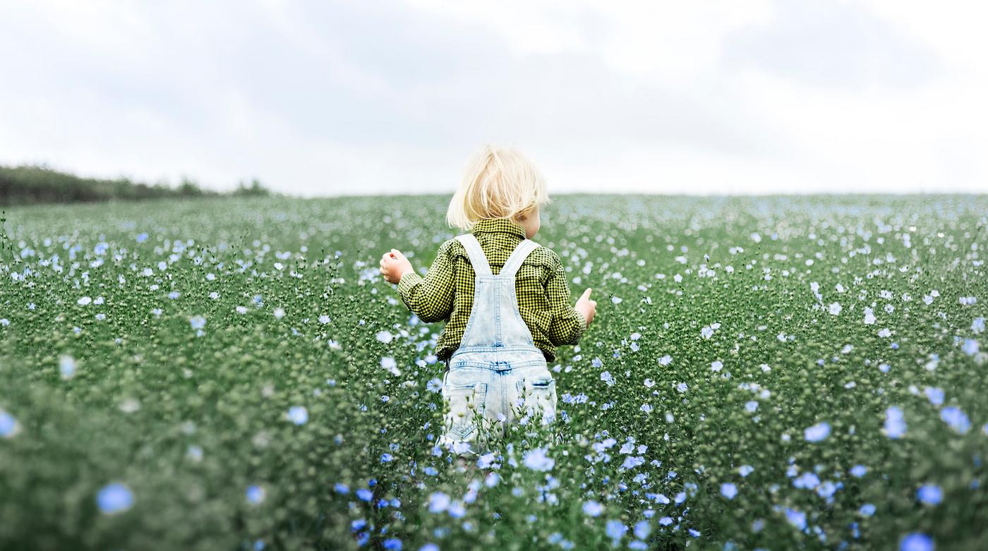 arboretum, backyard, bloom, blooming, blue, botanical, botany, boy, child, country, countryside, cultivate, cultivating,... arboretum, backyard, bloom, blooming, blue, botanical, botany, boy, child, country, countryside, cultivate, cultivating,...