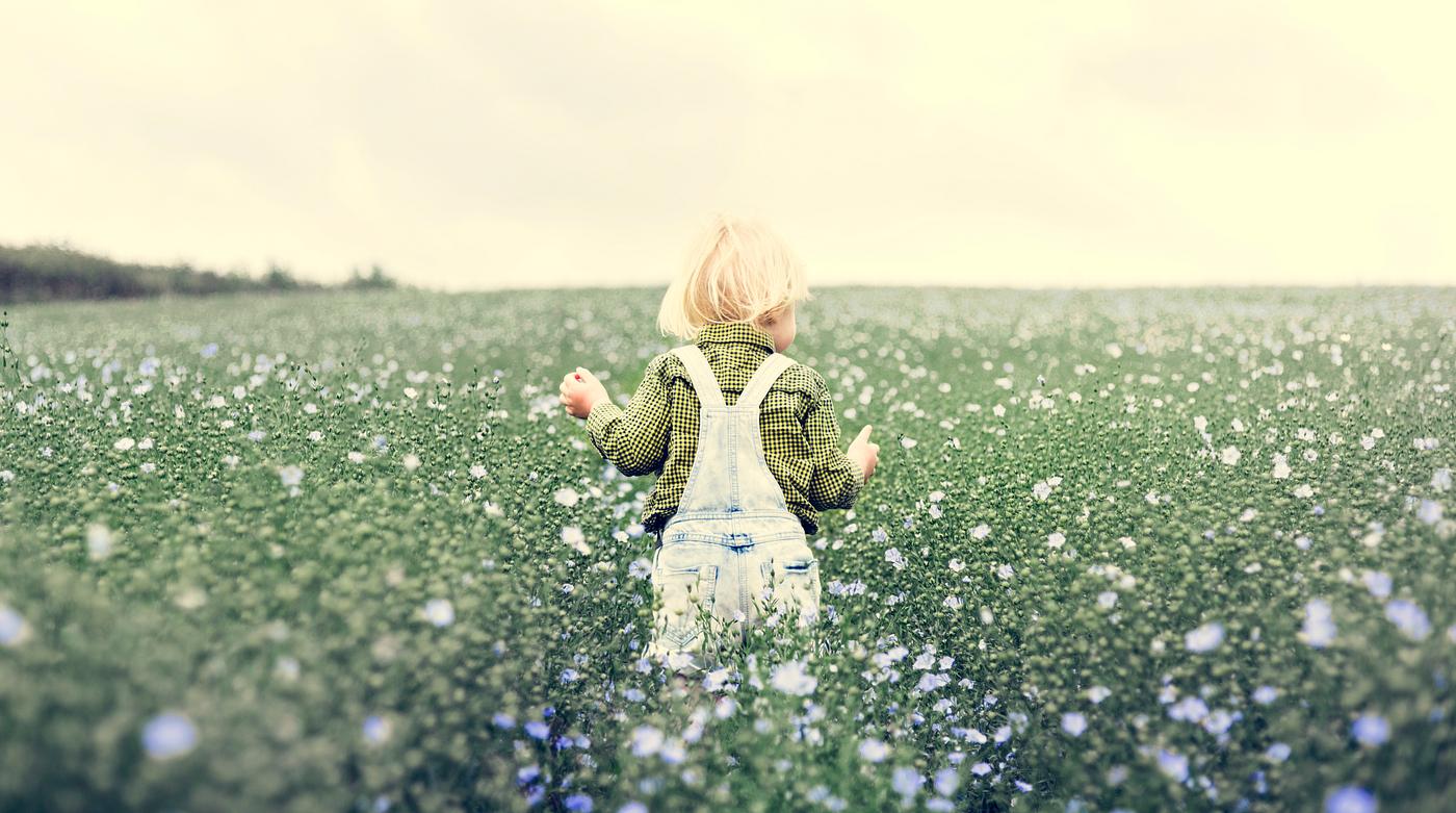 arboretum, backyard, bloom, blooming, botanical, botany, boy, child, country, countryside, cultivate, cultivating, field,... arboretum, backyard, bloom, blooming, botanical, botany, boy, child, country, countryside, cultivate, cultivating, field,...