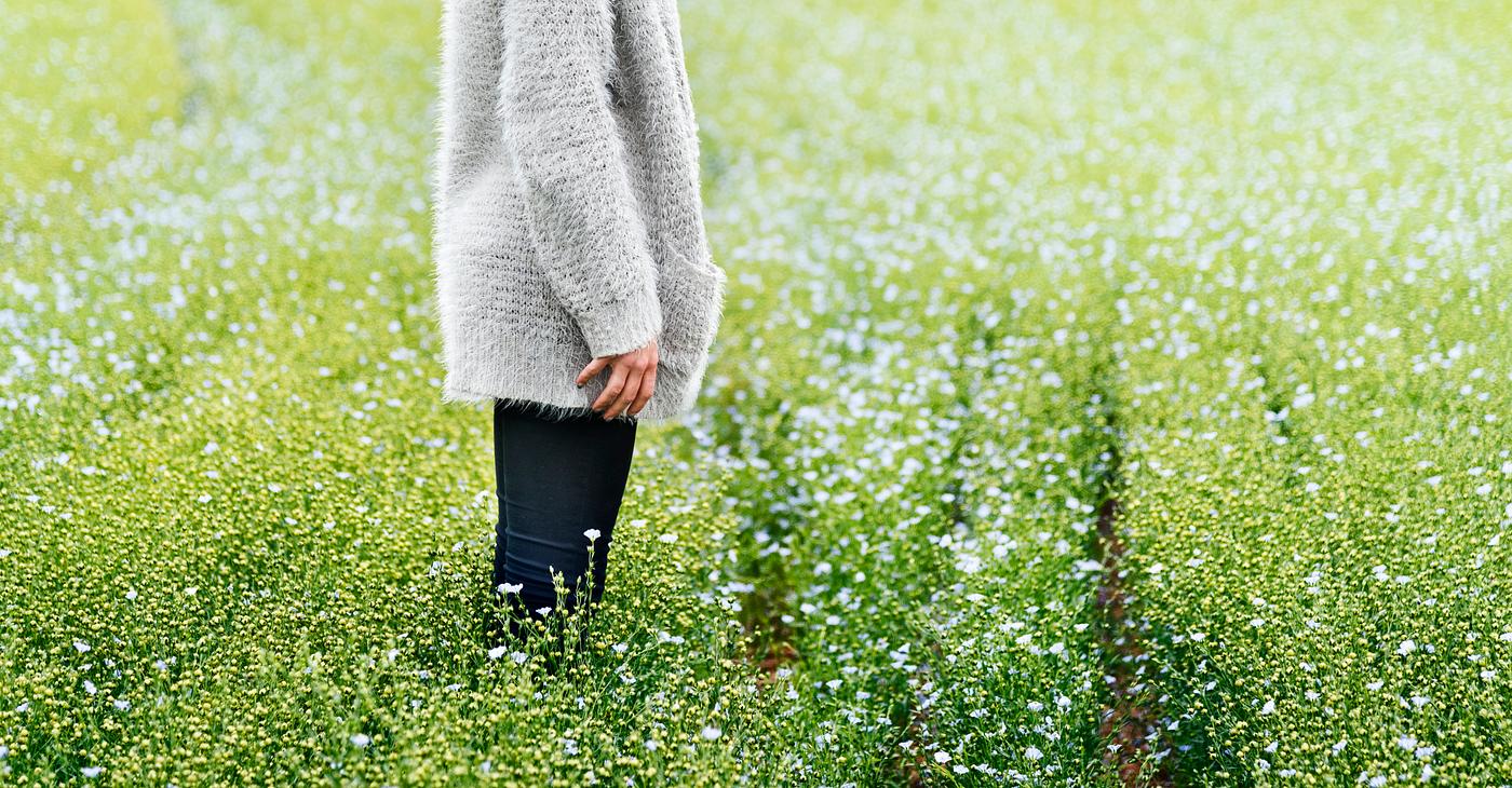 arboretum, backyard, bloom, blooming, botanical, botany, country, countryside, cultivate, cultivating, field, flora, garden... arboretum, backyard, bloom, blooming, botanical, botany, country, countryside, cultivate, cultivating, field, flora, garden...