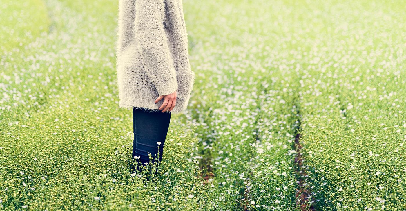 arboretum, backyard, bloom, blooming, botanical, botany, country, countryside, cultivate, cultivating, field, flora, garden... arboretum, backyard, bloom, blooming, botanical, botany, country, countryside, cultivate, cultivating, field, flora, garden...