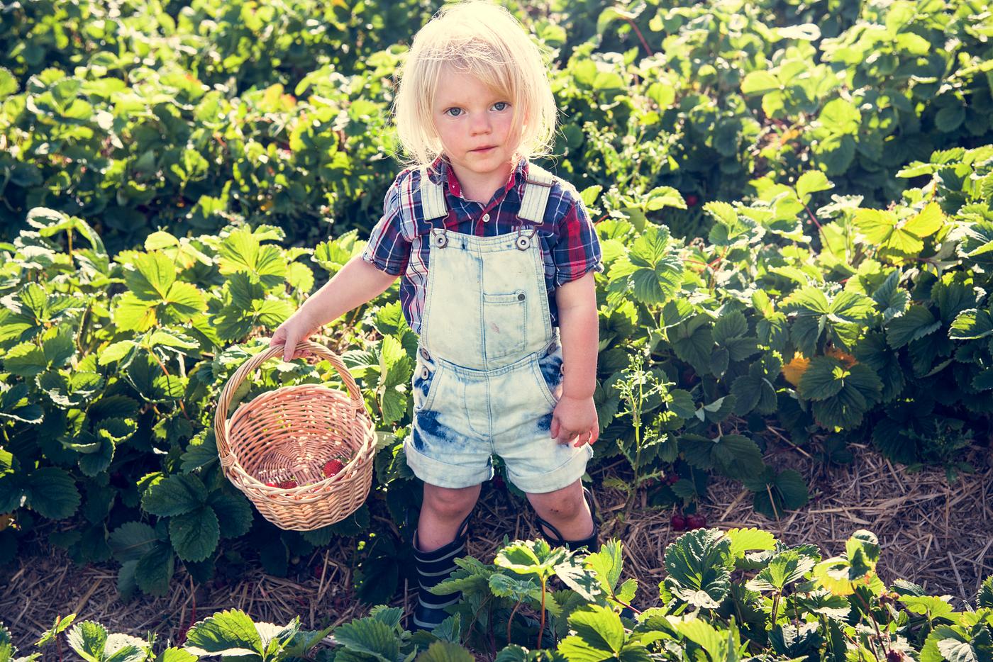 arboretum, backyard, bloom, blooming, botanical, botany, boy, child, country, countryside, cultivate, cultivating, field,... arboretum, backyard, bloom, blooming, botanical, botany, boy, child, country, countryside, cultivate, cultivating, field,...