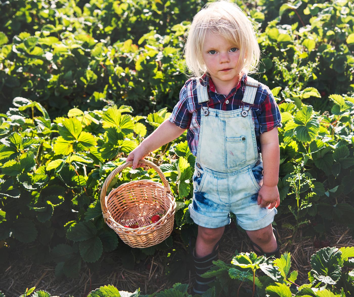 arboretum, backyard, bloom, blooming, botanical, botany, boy, child, country, countryside, cultivate, cultivating, field,... arboretum, backyard, bloom, blooming, botanical, botany, boy, child, country, countryside, cultivate, cultivating, field,...