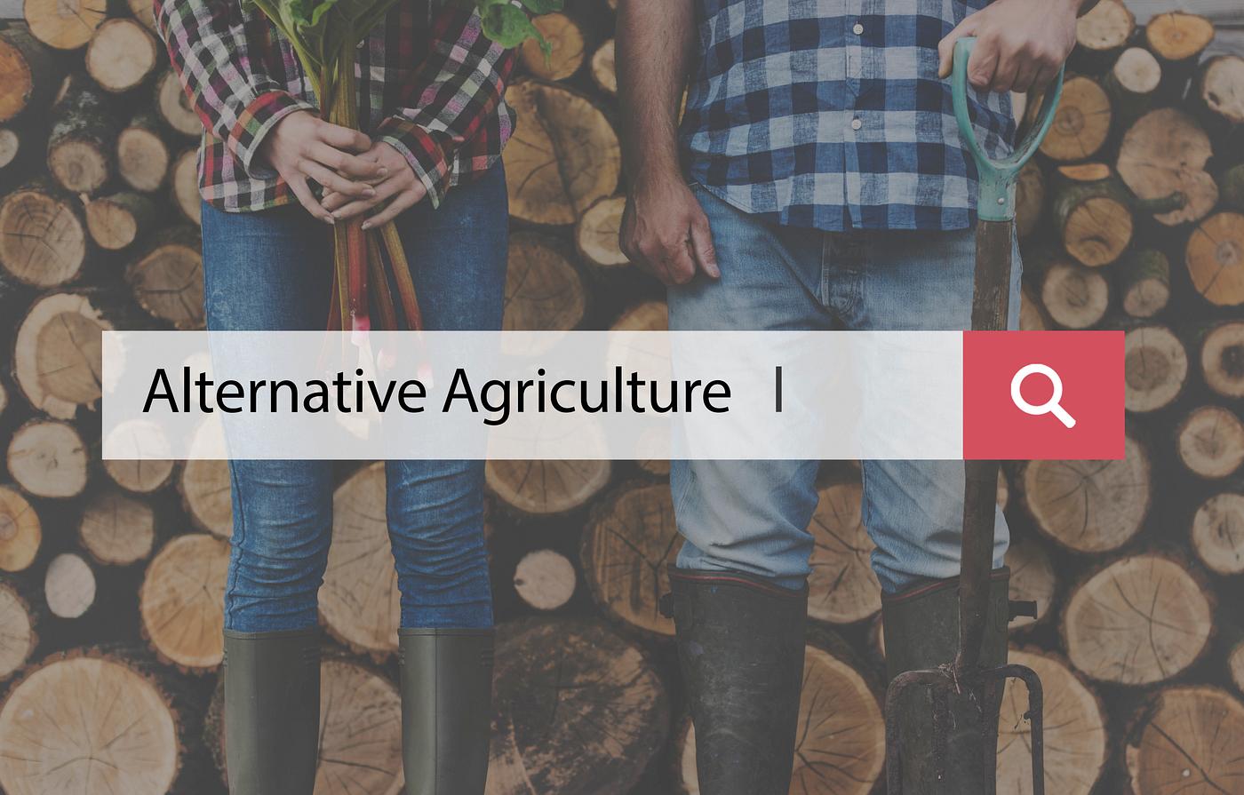 caucasian, farm, farmer, firewood, hands, holding, jeans, legs, log, lumber, men, natural, plant, shovel, stack, stand,... caucasian, farm, farmer, firewood, hands, holding, jeans, legs, log, lumber, men, natural, plant, shovel, stack, stand,...