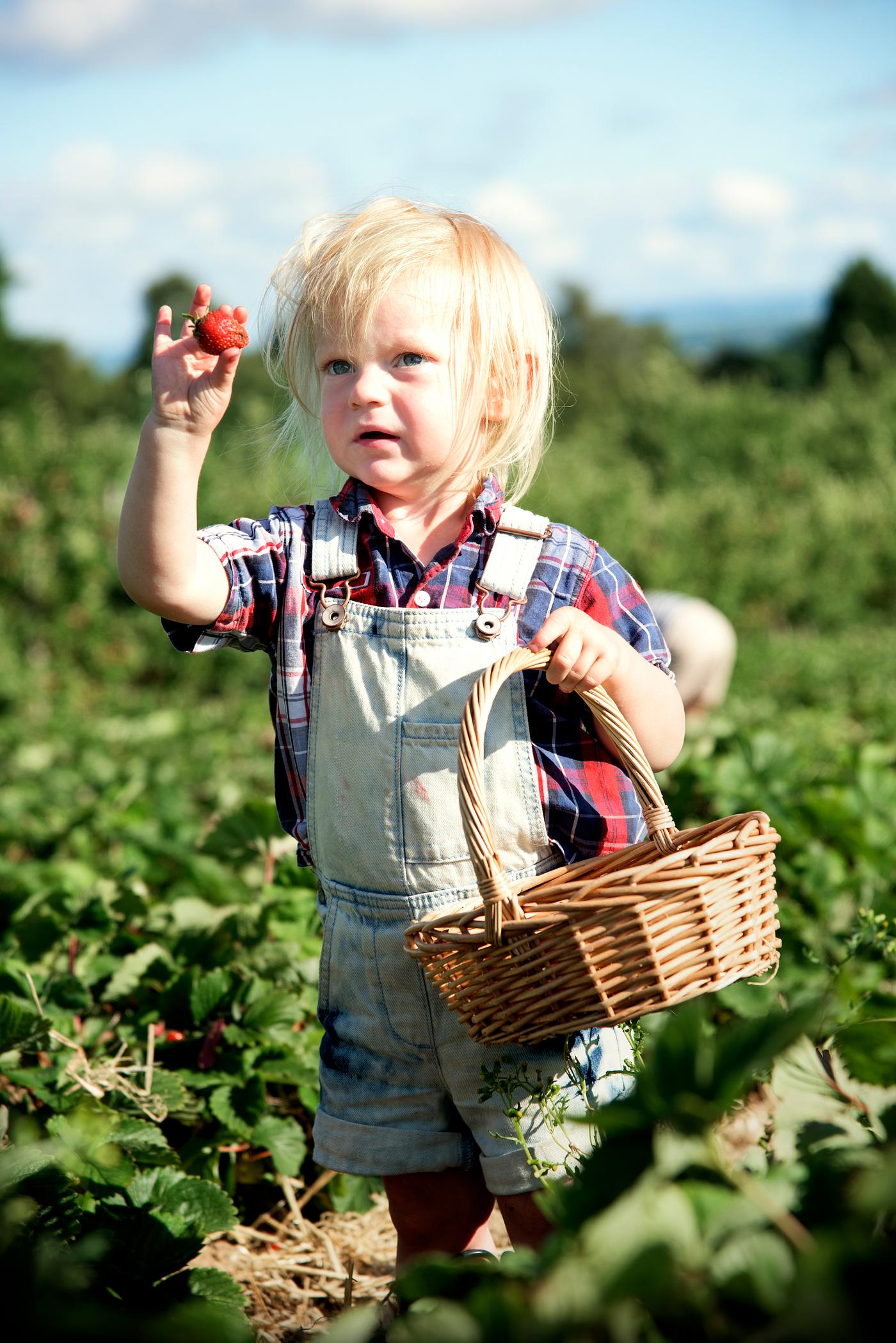 arboretum, backyard, bloom, blooming, botanical, botany, boy, child, country, countryside, cultivate, cultivating, field,... arboretum, backyard, bloom, blooming, botanical, botany, boy, child, country, countryside, cultivate, cultivating, field,...