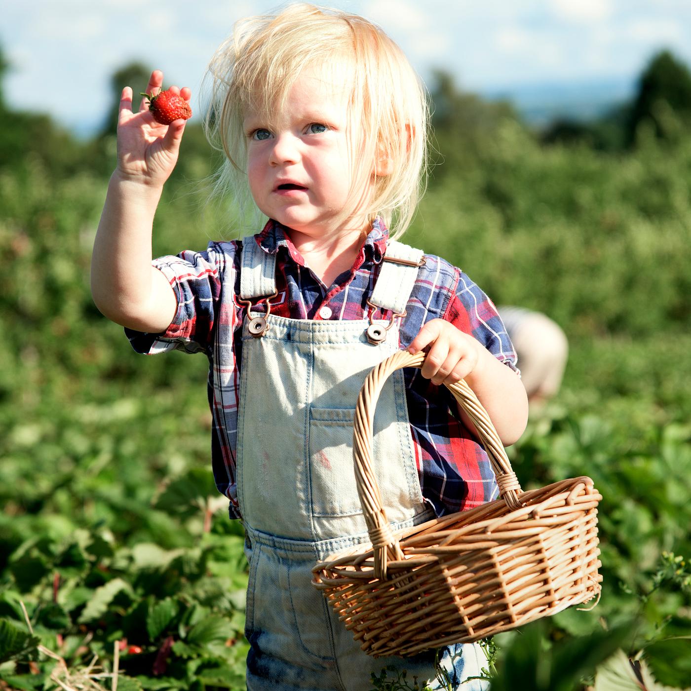 arboretum, backyard, bloom, blooming, botanical, botany, boy, child, country, countryside, cultivate, cultivating, field,... arboretum, backyard, bloom, blooming, botanical, botany, boy, child, country, countryside, cultivate, cultivating, field,...