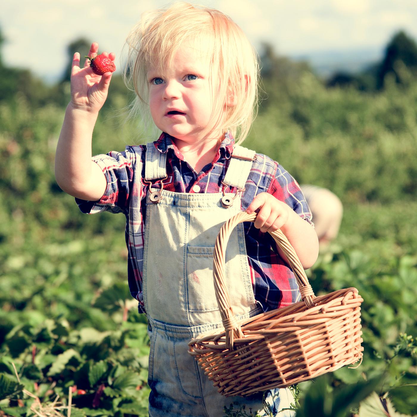 arboretum, backyard, bloom, blooming, botanical, botany, boy, child, country, countryside, cultivate, cultivating, field,... arboretum, backyard, bloom, blooming, botanical, botany, boy, child, country, countryside, cultivate, cultivating, field,...