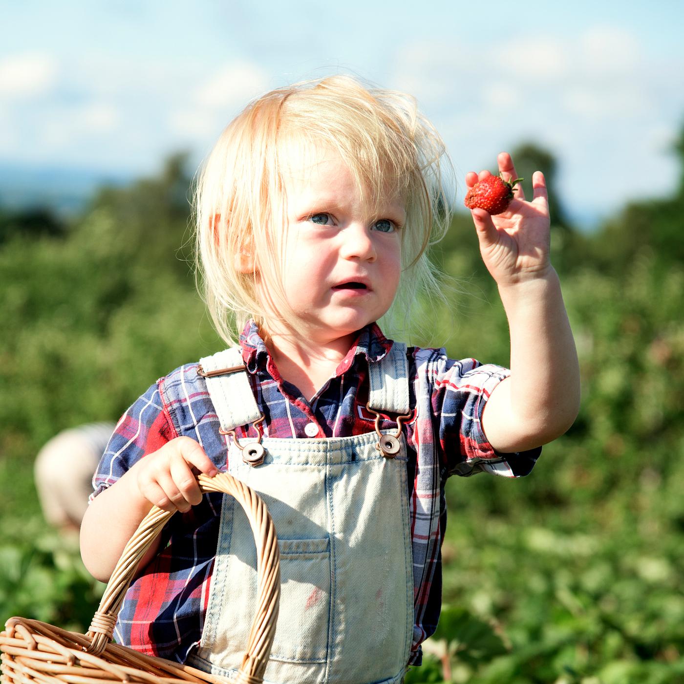arboretum, backyard, bloom, blooming, botanical, botany, boy, child, country, countryside, cultivate, cultivating, field,... arboretum, backyard, bloom, blooming, botanical, botany, boy, child, country, countryside, cultivate, cultivating, field,...