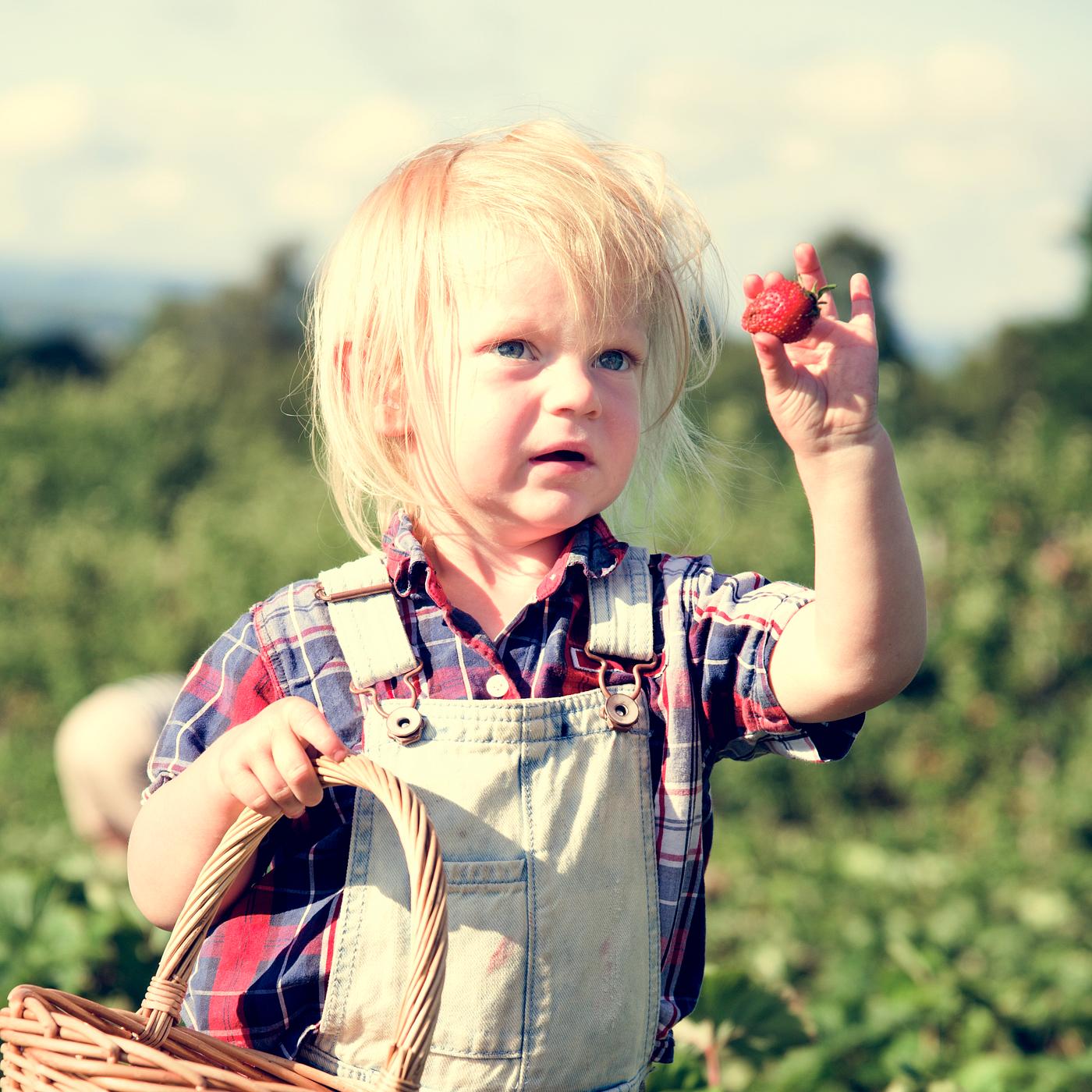 arboretum, backyard, bloom, blooming, botanical, botany, boy, child, country, countryside, cultivate, cultivating, field,... arboretum, backyard, bloom, blooming, botanical, botany, boy, child, country, countryside, cultivate, cultivating, field,...
