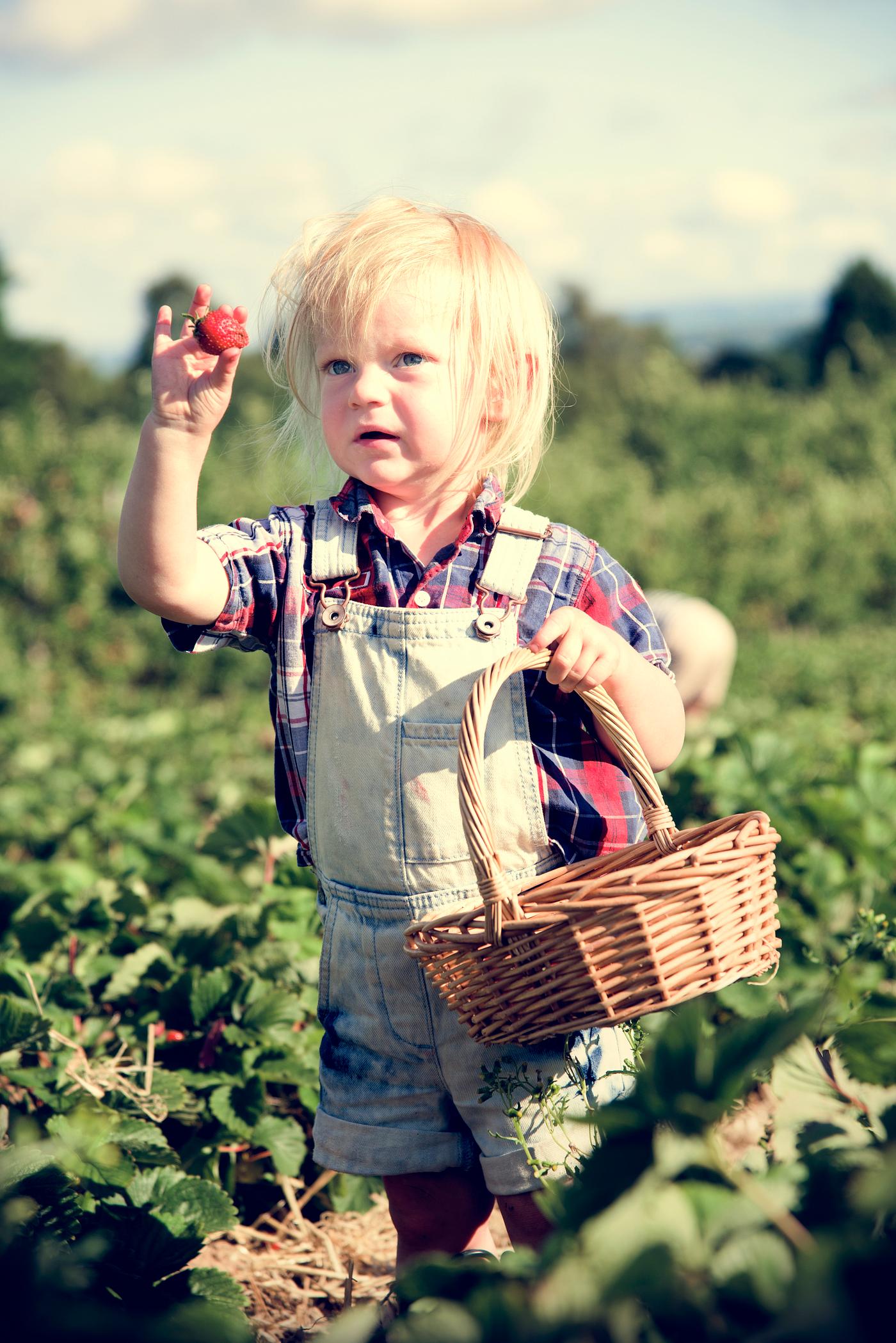 arboretum, backyard, bloom, blooming, botanical, botany, boy, child, country, countryside, cultivate, cultivating, field,... arboretum, backyard, bloom, blooming, botanical, botany, boy, child, country, countryside, cultivate, cultivating, field,...