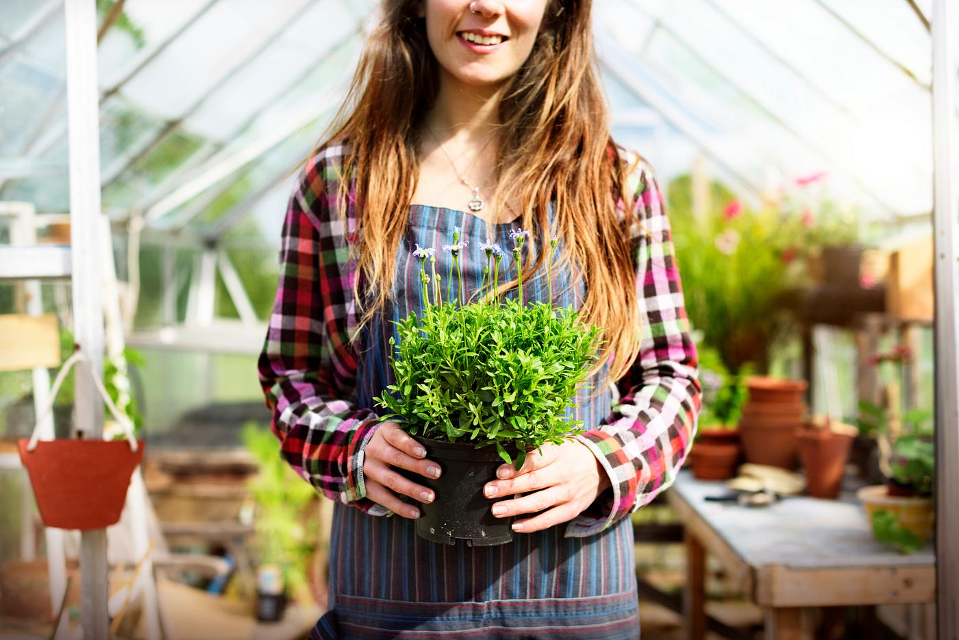 Young woman in the glass greenhouse - greenhouse, gardening, adult, agriculture, backyard, bloom, botanical, botany,... Young woman in the glass greenhouse - greenhouse, gardening, adult, agriculture, backyard, bloom, botanical, botany,...