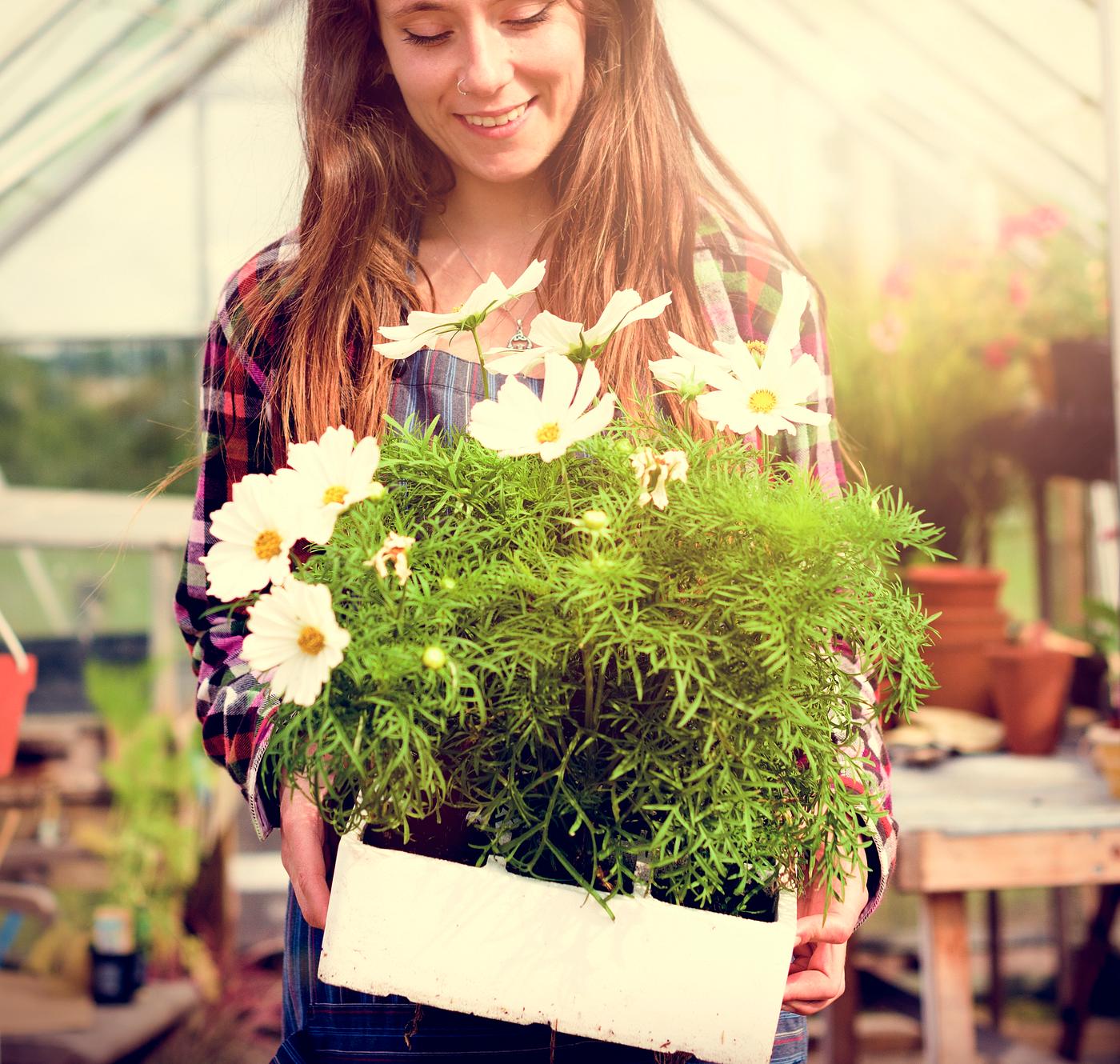 arboretum, backyard, bloom, blooming, botanical, botany, country, countryside, cultivate, cultivating, flora, flower, garden... arboretum, backyard, bloom, blooming, botanical, botany, country, countryside, cultivate, cultivating, flora, flower, garden...