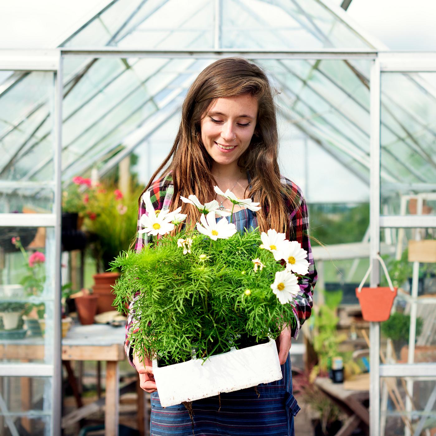 summer, plant, gardening, arboretum, backyard, bloom, blooming, botanical, botany, country, countryside, cultivate,... summer, plant, gardening, arboretum, backyard, bloom, blooming, botanical, botany, country, countryside, cultivate,...