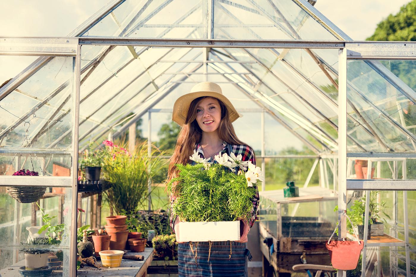 arboretum, backyard, bloom, blooming, botanical, botany, country, countryside, cultivate, cultivating, flora, garden,... arboretum, backyard, bloom, blooming, botanical, botany, country, countryside, cultivate, cultivating, flora, garden,...