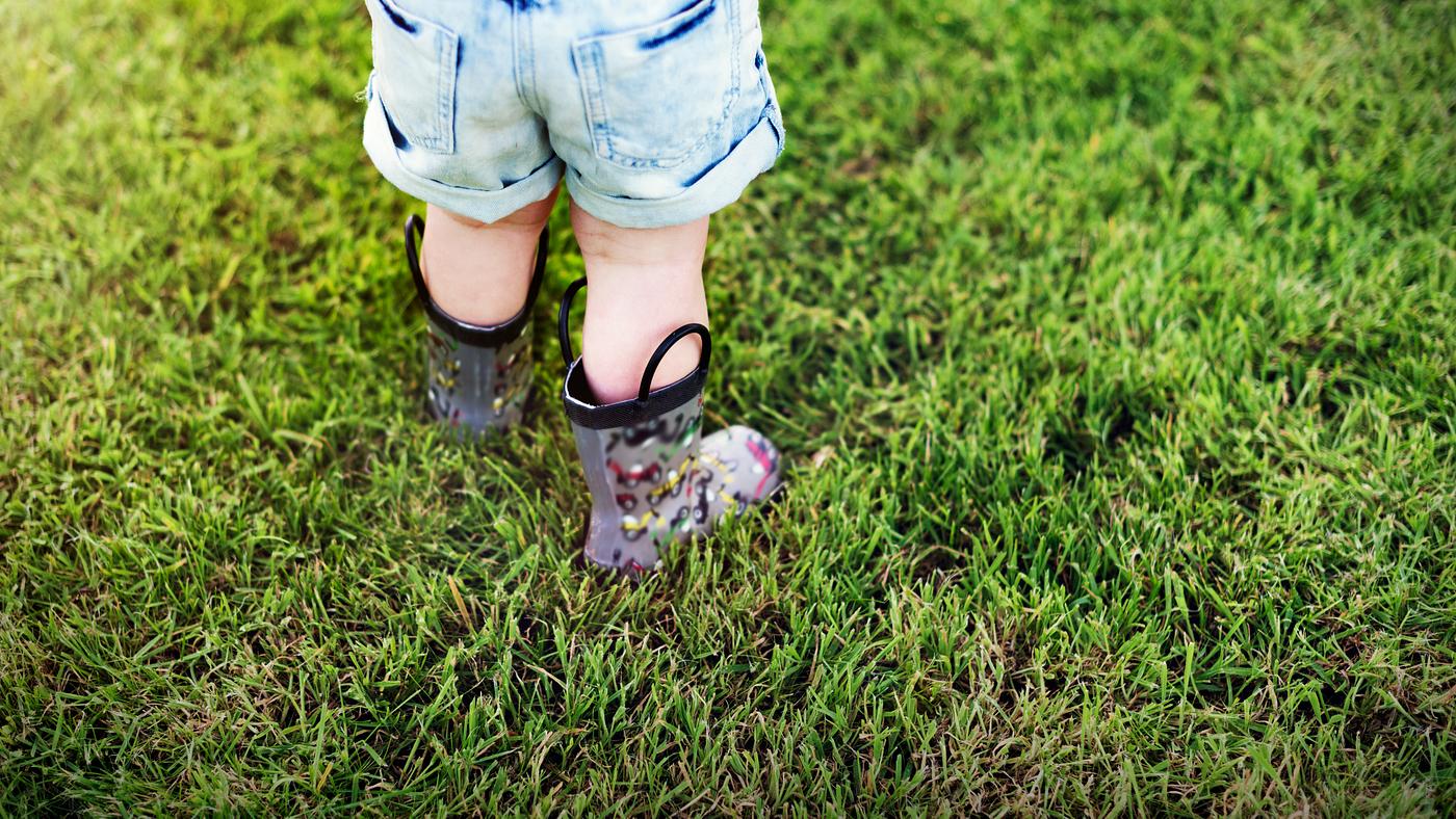 lawn, arboretum, backyard, bloom, blooming, botanical, botany, boy, child, country, countryside, cultivate, cultivating,... lawn, arboretum, backyard, bloom, blooming, botanical, botany, boy, child, country, countryside, cultivate, cultivating,...