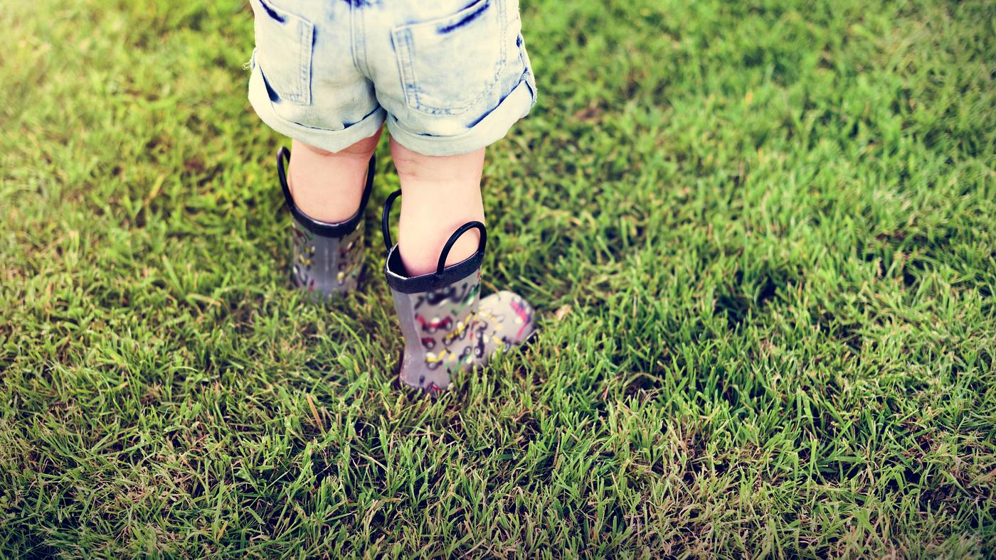 arboretum, backyard, bloom, blooming, botanical, botany, boy, child, country, countryside, cultivate, cultivating, flora,... arboretum, backyard, bloom, blooming, botanical, botany, boy, child, country, countryside, cultivate, cultivating, flora,...