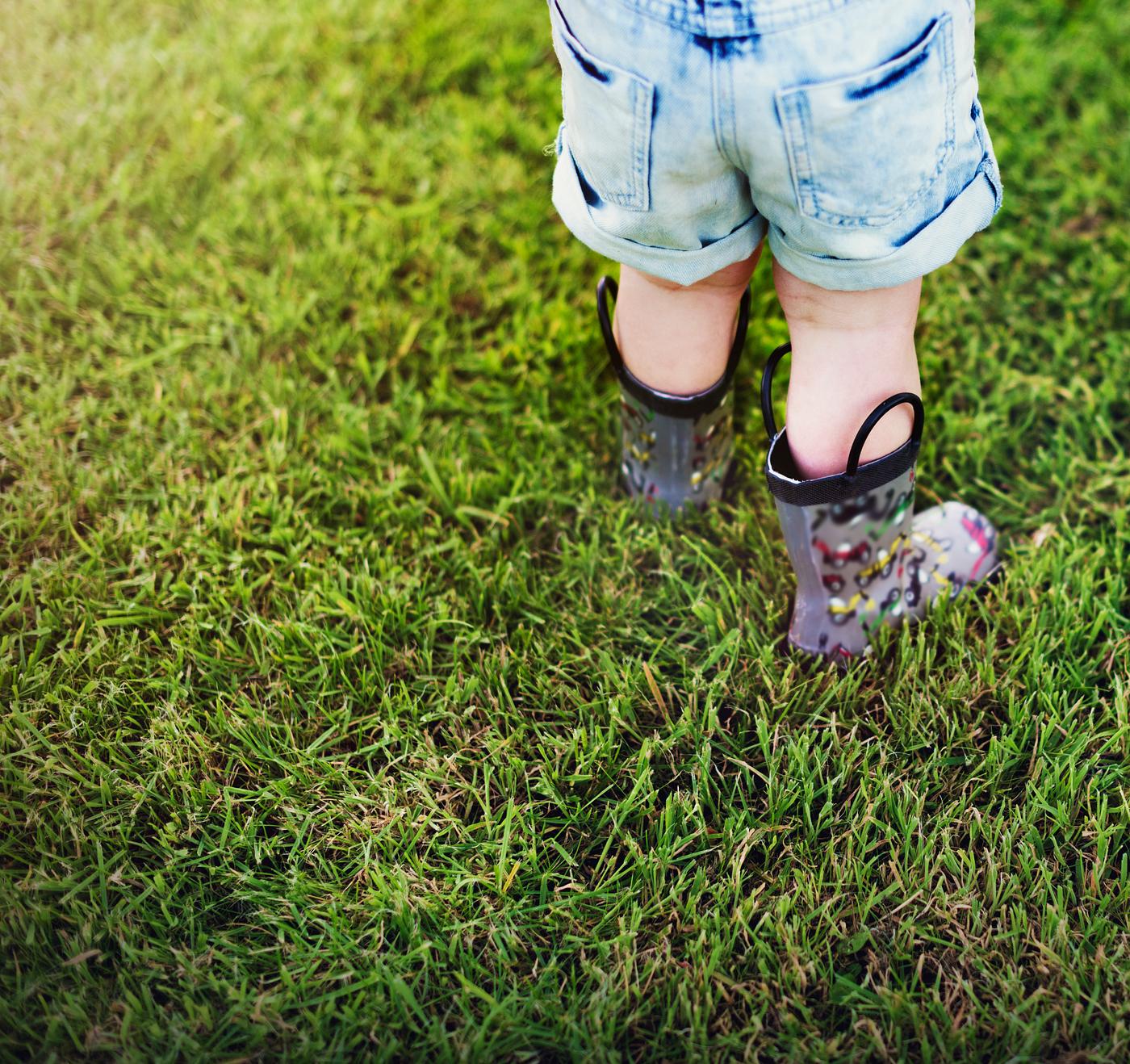 arboretum, backyard, bloom, blooming, botanical, botany, boy, child, country, countryside, cultivate, cultivating, flora,... arboretum, backyard, bloom, blooming, botanical, botany, boy, child, country, countryside, cultivate, cultivating, flora,...