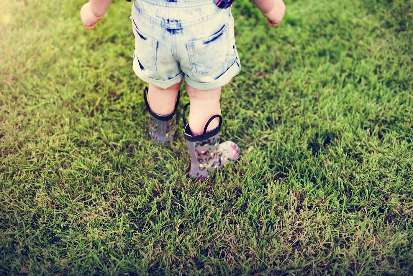 arboretum, backyard, bloom, blooming, botanical, botany, boy, child, country, countryside, cultivate, cultivating, flora,... arboretum, backyard, bloom, blooming, botanical, botany, boy, child, country, countryside, cultivate, cultivating, flora,...