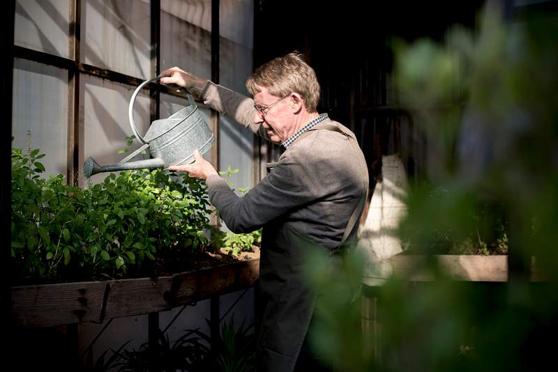 Elderly man watering plants with a metal | Premium Photo - rawpixel