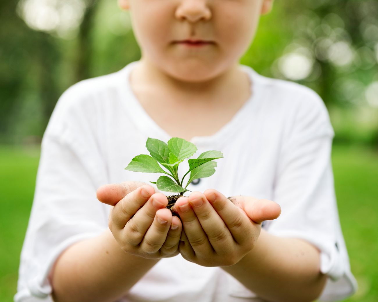 Little boy holding soil and plant in the park
We are proud to support Hope for Children on their mission to ensure children... Little boy holding soil and plant in the park
We are proud to support Hope for Children on their mission to ensure children...