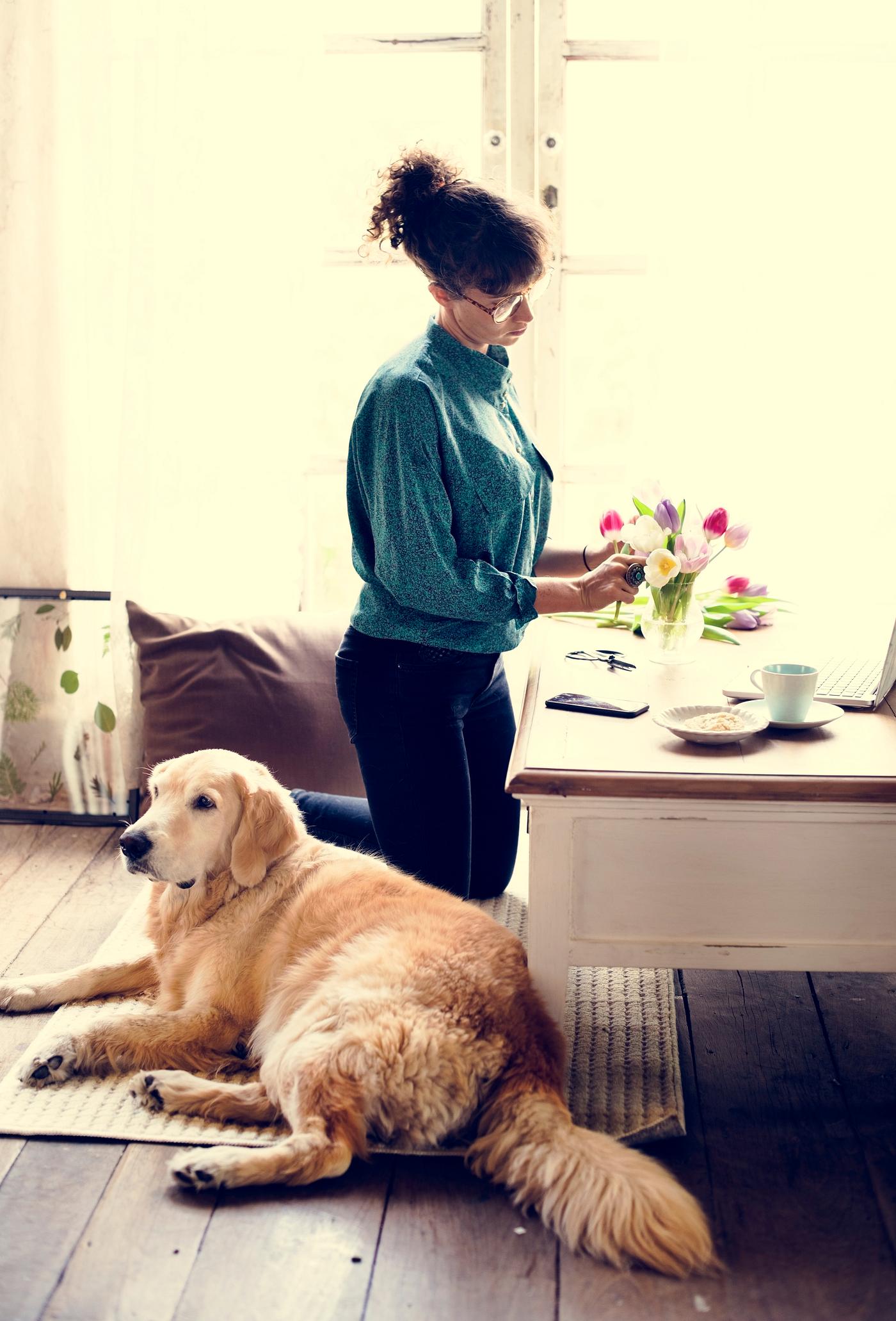 animal, adorable, adore, adult, arrangement, arranging, attach, attached, beautiful, breed, canine, cheerful, chill, coffee... animal, adorable, adore, adult, arrangement, arranging, attach, attached, beautiful, breed, canine, cheerful, chill, coffee...