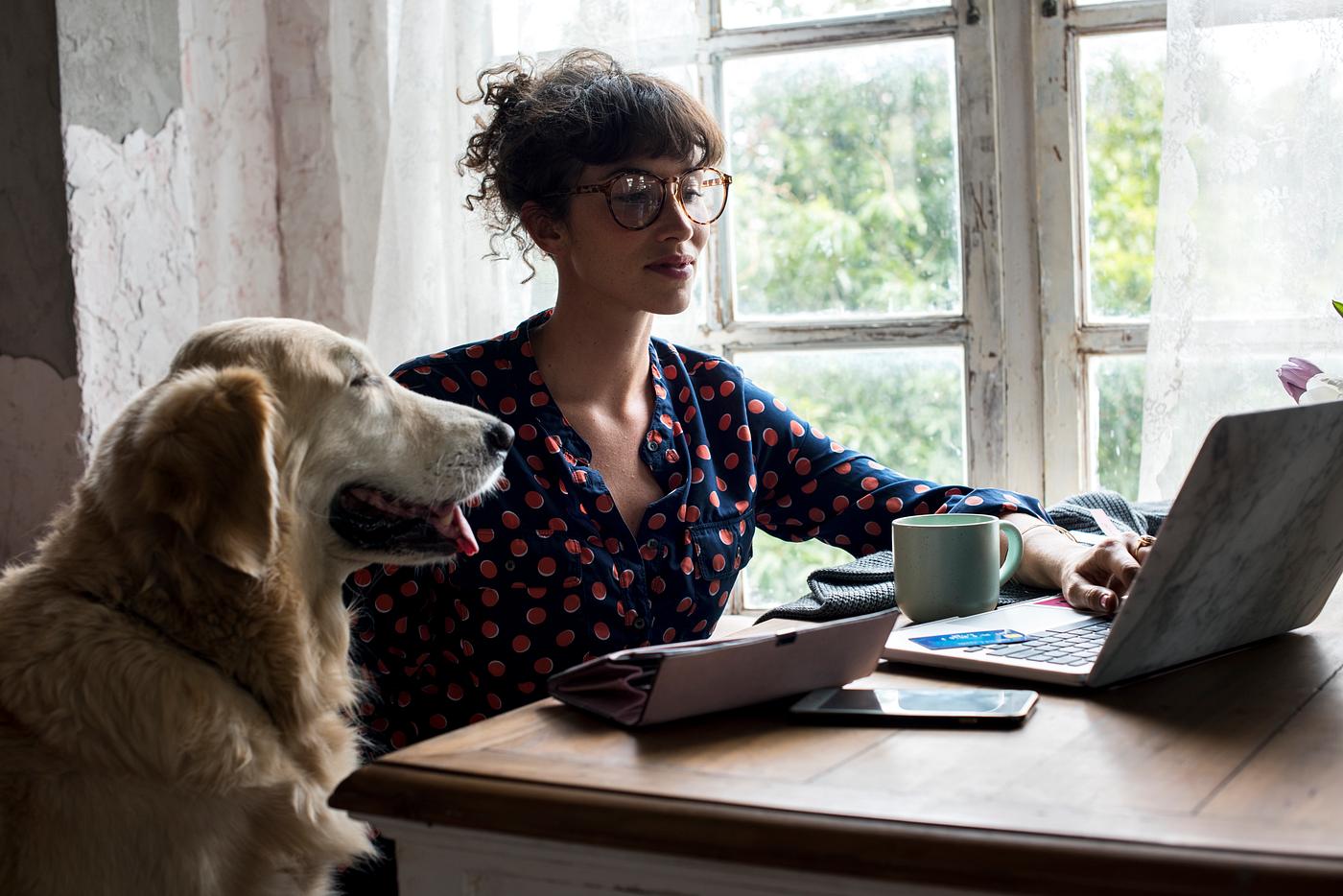 animal, attach, attached, buddy, coffee, conneciton, connection, dog, drinks, golden retriever, laptop, leisure, mobile... animal, attach, attached, buddy, coffee, conneciton, connection, dog, drinks, golden retriever, laptop, leisure, mobile...