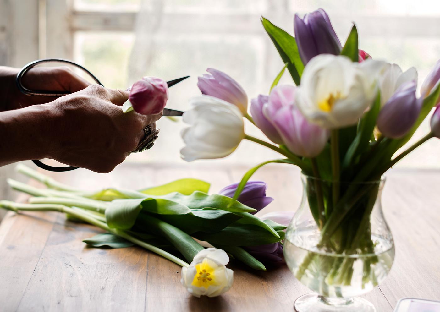 adult, arrangement, attach, attached, attractive, beautiful, bloom, blooming, blossom, bunch, colorful, cut, cutting, decor... adult, arrangement, attach, attached, attractive, beautiful, bloom, blooming, blossom, bunch, colorful, cut, cutting, decor...