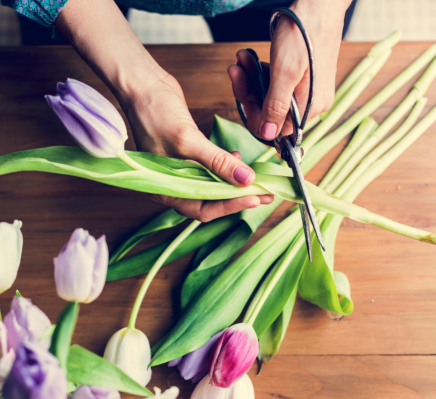 aerial view, attach, beautiful, beauty, blossom, creative, creativity, cutting, decoration, design, desk, floral, florist,... aerial view, attach, beautiful, beauty, blossom, creative, creativity, cutting, decoration, design, desk, floral, florist,...