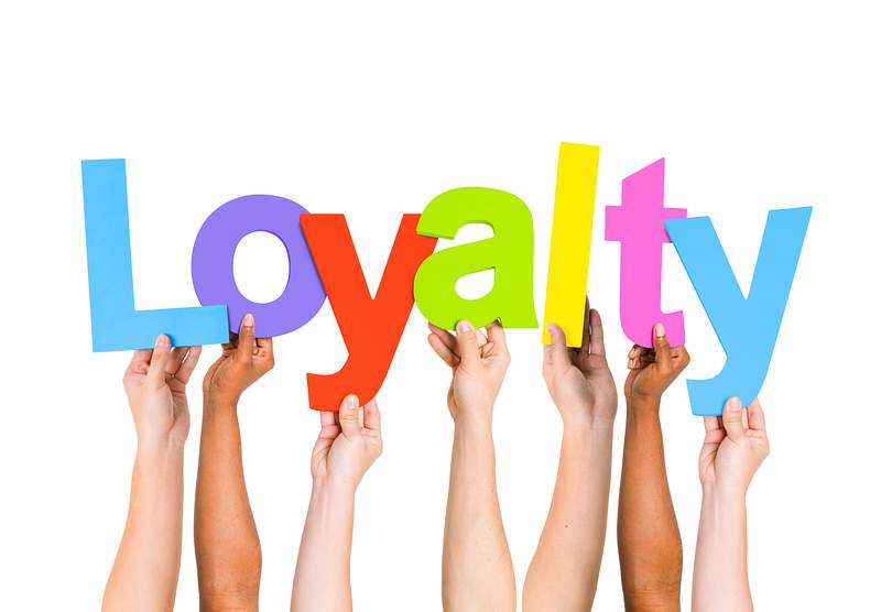 Fairgo https://godoggingaustralia.com/