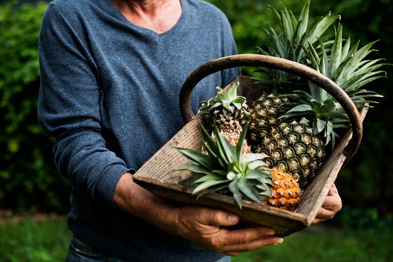 Free royalty image about raw, holding, farm, nature raw, holding, farm, nature