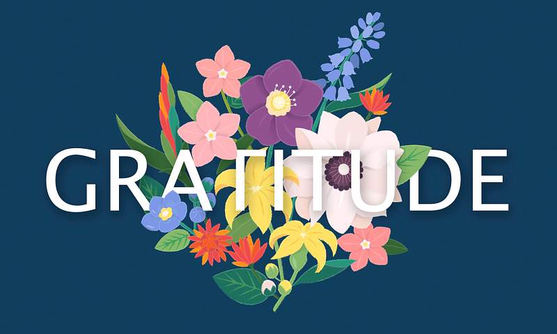 Gratitude Images Free Photos PNG Stickers Wallpapers Backgrounds Gratitude Images Free Photos PNG Stickers Wallpapers Backgrounds