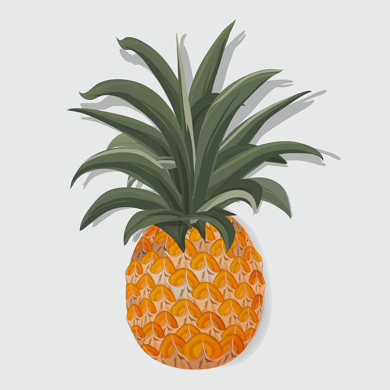 Tropical pineapple Fresh Pineapple Tropical Fruit Vector Illustration