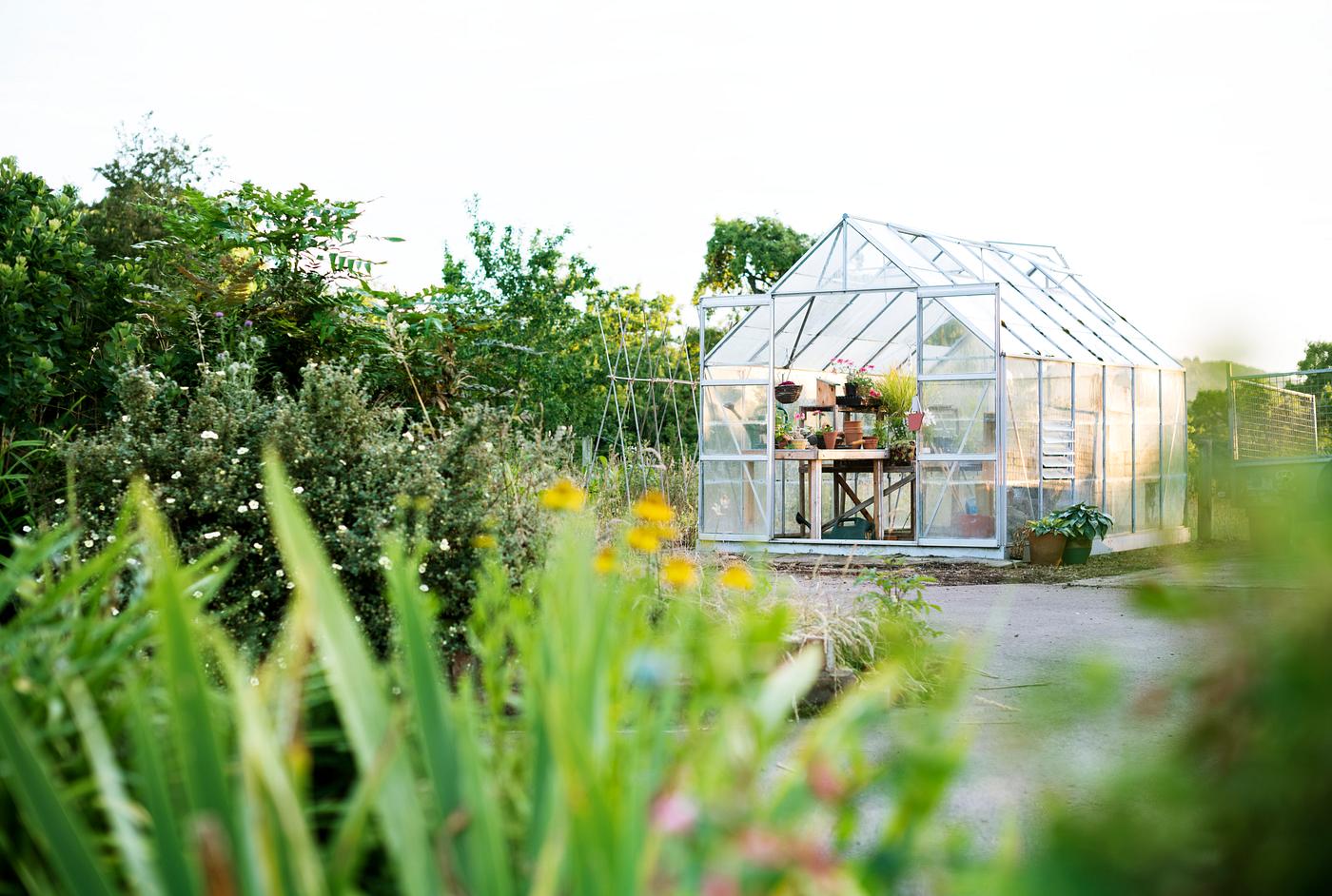 Glass greenhouse Glass greenhouse
