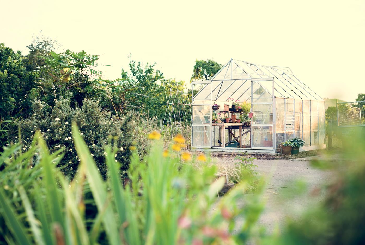arboretum, backyard, bloom, blooming, botanical, botany, country, countryside, cultivate, cultivating, flora, garden,... arboretum, backyard, bloom, blooming, botanical, botany, country, countryside, cultivate, cultivating, flora, garden,...