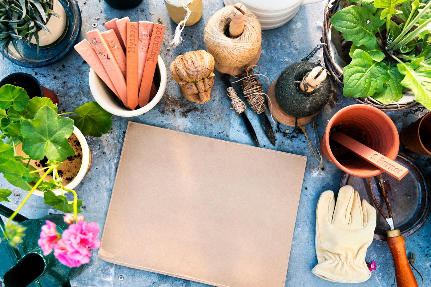 Planting flowers with design space paper board Planting flowers with design space paper board
