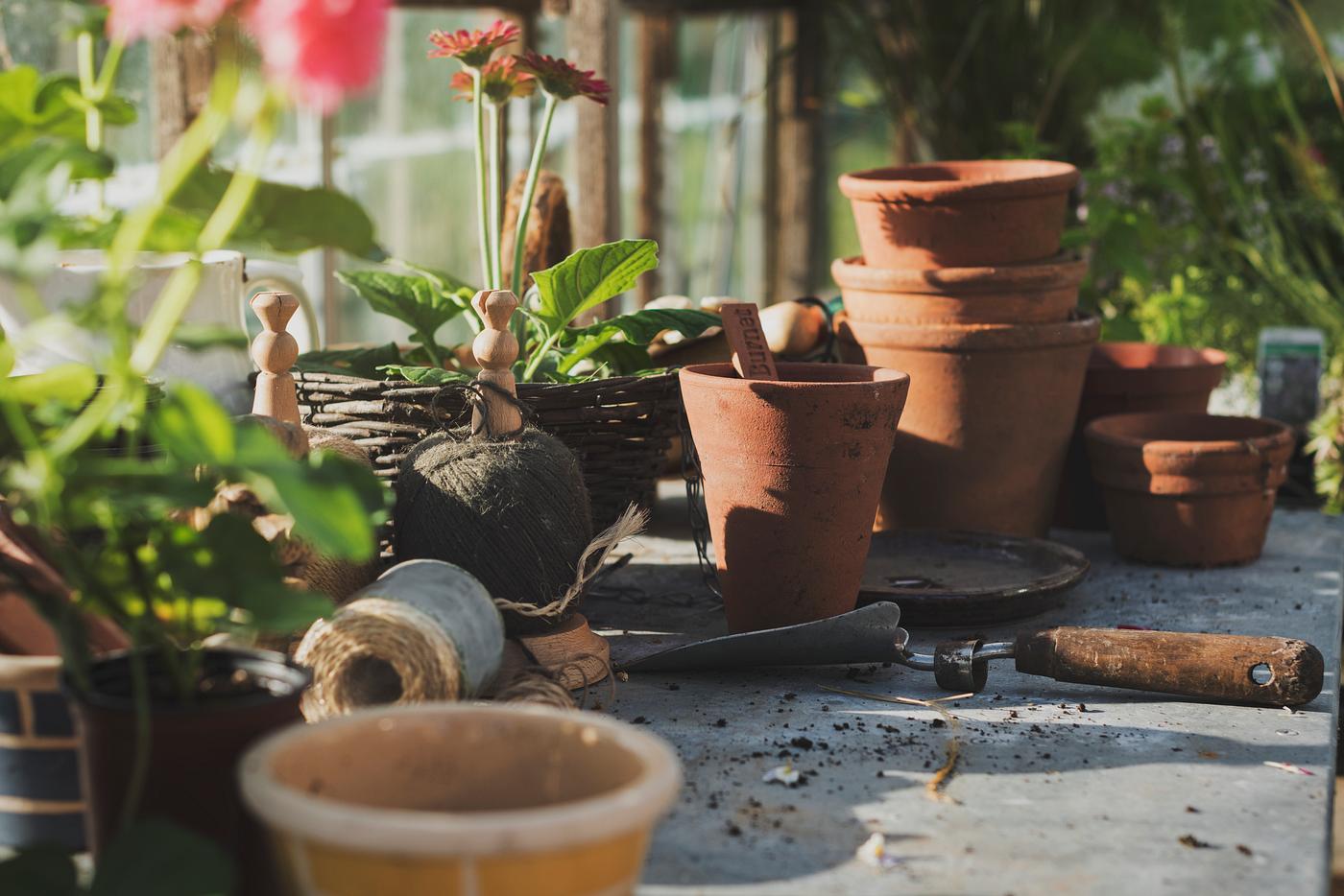 botanical, agriculture, arboretum, backyard, bloom, botany, cultivate, cultivated, cultivating, cultivation, ecology,... botanical, agriculture, arboretum, backyard, bloom, botany, cultivate, cultivated, cultivating, cultivation, ecology,...
