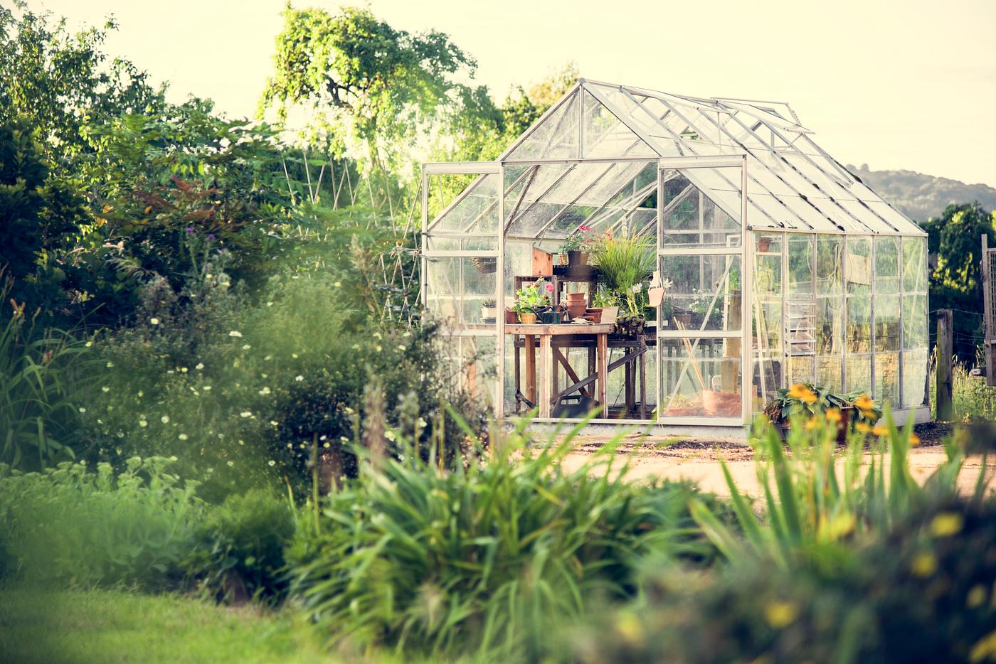 arboretum, backyard, bloom, blooming, botanical, botany, country, countryside, cultivate, cultivating, flora, garden,... arboretum, backyard, bloom, blooming, botanical, botany, country, countryside, cultivate, cultivating, flora, garden,...