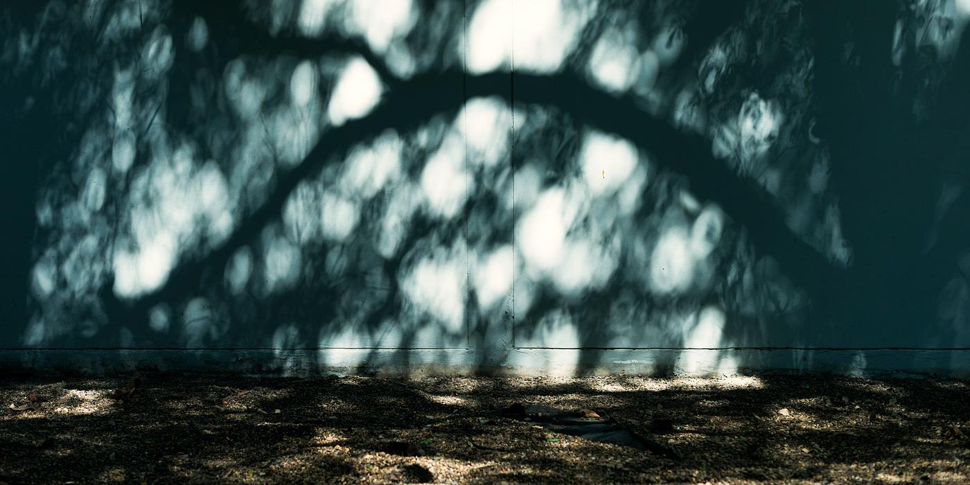 dirt, shadow, wall, autumn, backgrounds, cc0, concrete, concrete wall, creative common 0, creative commons 0, fall, leaves,... dirt, shadow, wall, autumn, backgrounds, cc0, concrete, concrete wall, creative common 0, creative commons 0, fall, leaves,...