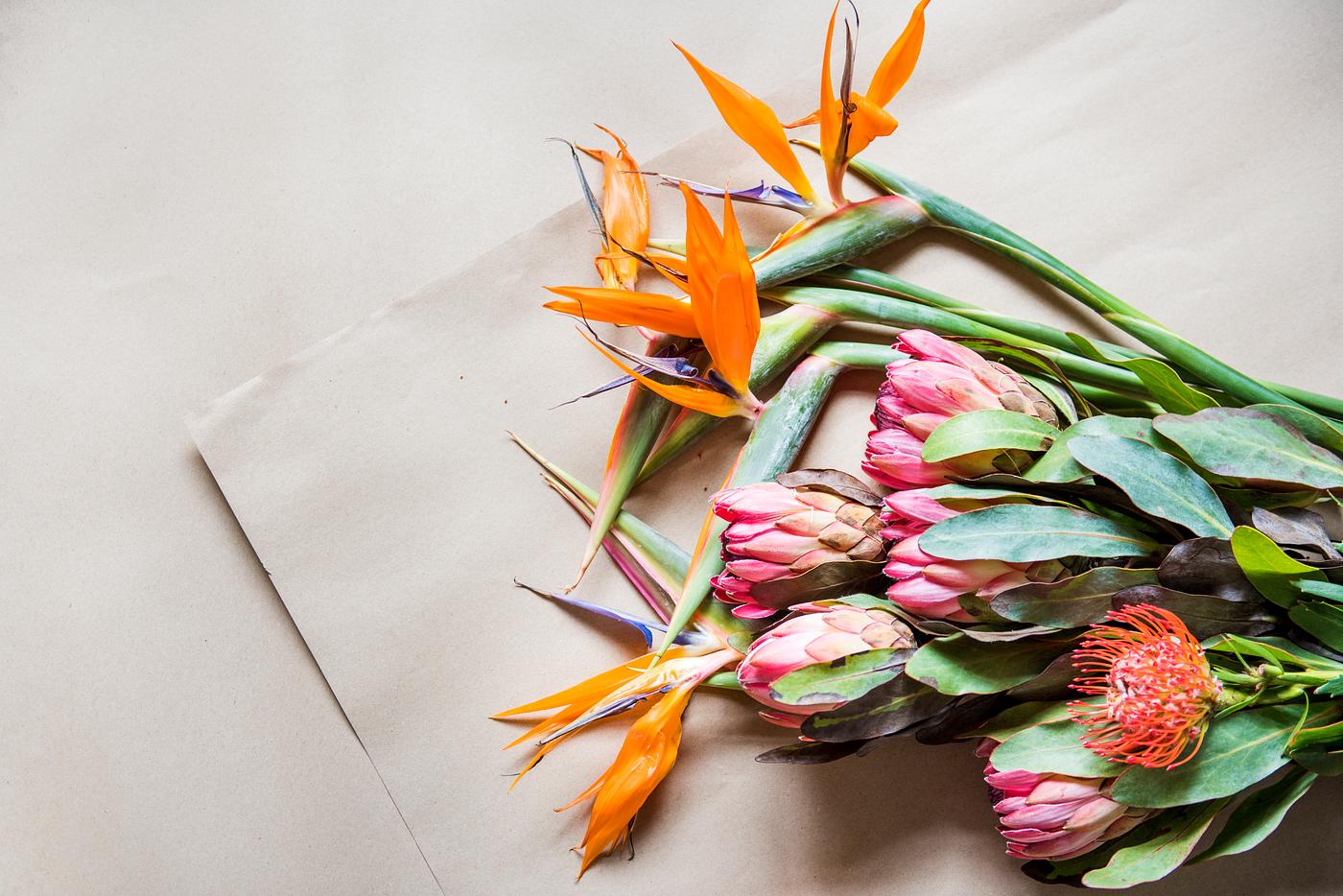 arrangement, protea, bird of paradise, bloom, brown background, brown paper, closeup, collection, colorful, craft paper,... arrangement, protea, bird of paradise, bloom, brown background, brown paper, closeup, collection, colorful, craft paper,...